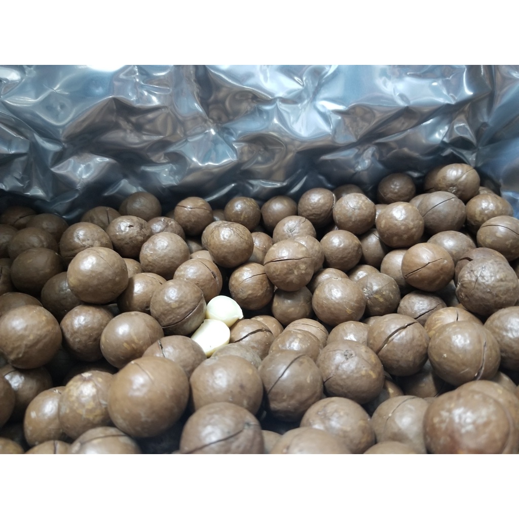 500G Hạt Macca Úc Nứt Vỏ Tự Nhiên Size 23-25(trung)- TẶNG ĐỒ KHUI