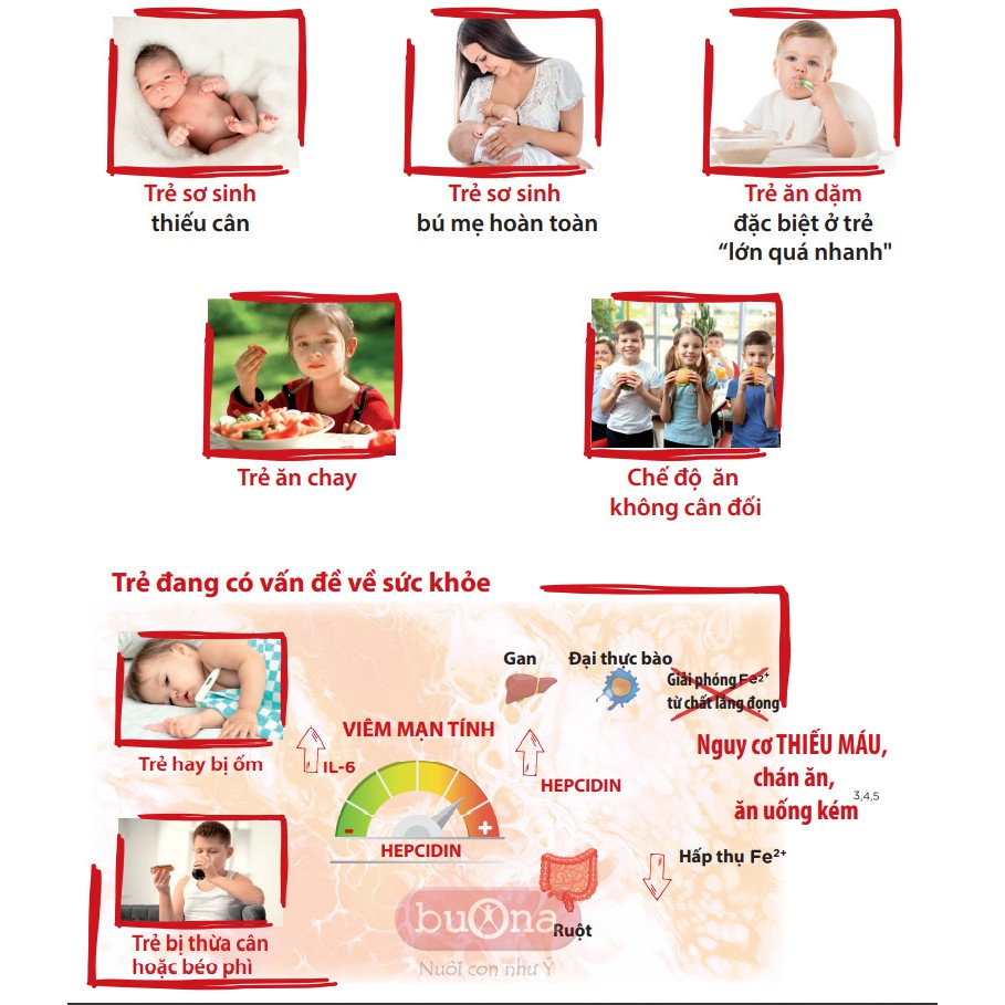 Sắt hữu cơ Ferrodue vị dâu