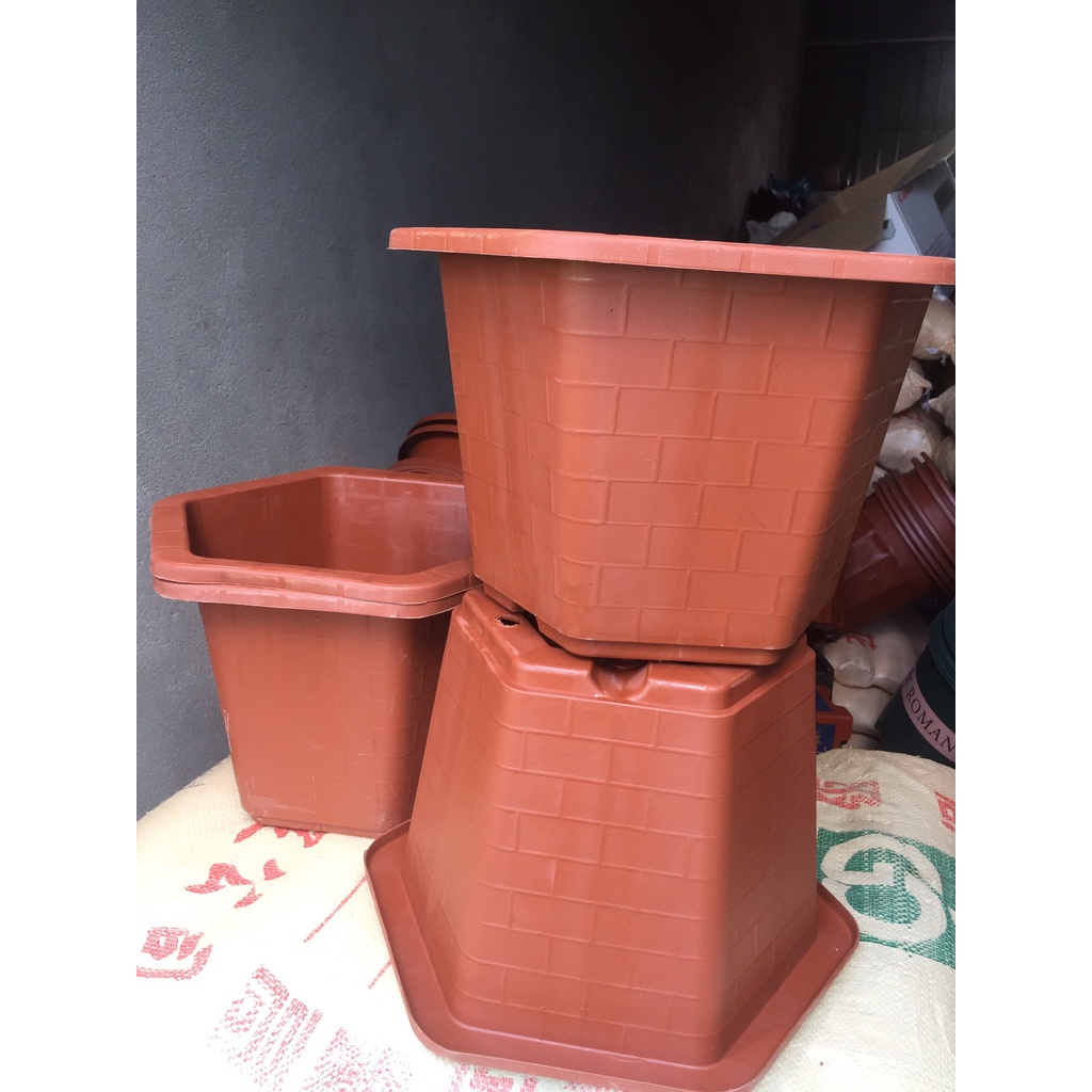 10 CHẬU NHỰA LỤC GIÁC MÃ #380 (DỊCH TRUYỀN CỨU CÂY, KÍCH RỄ MẦM CÂY, BẦU KHAY TÚI ƯƠM..)