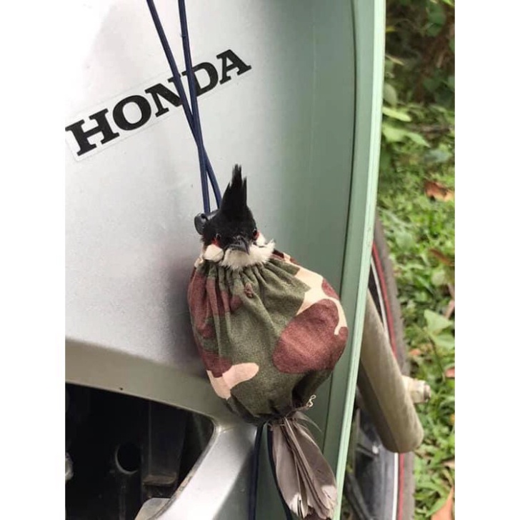 Sào bẫy Chim, Sào rút Inox đa năng 3m 5m 6m 7m  - siêu giảm giá