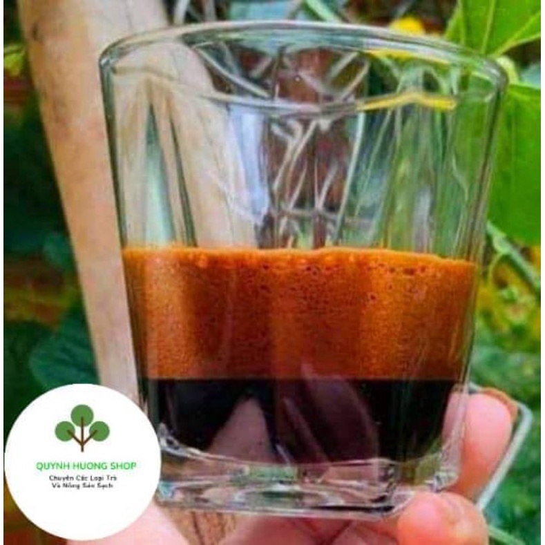 Cà phê nguyên chất robusta/cafe bột
