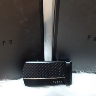 Thắt lưng Pedro
