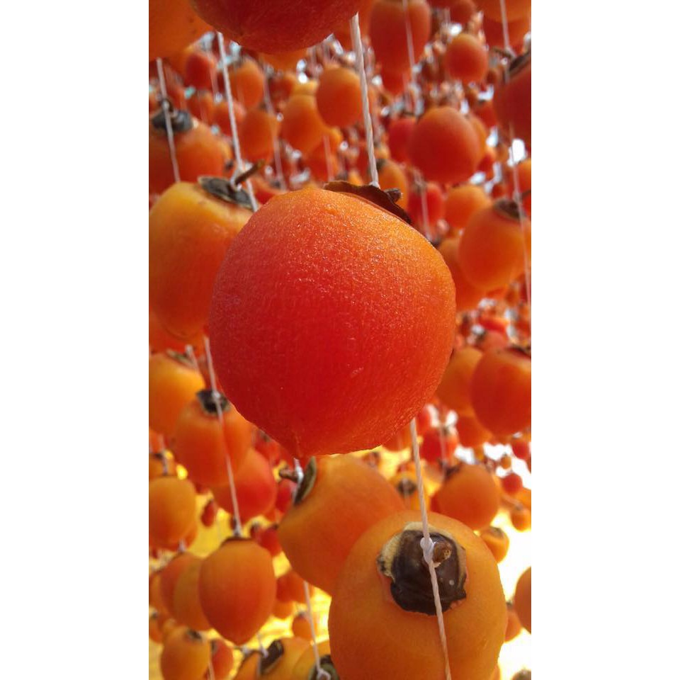 [Mã GROSALE2703 giảm 8% đơn 250K] Hồng sấy dẻo 500g, hồng sấy gió tinh hoa đặc sản Đà Lạt loại VIP hoàn toàn khác biệt | BigBuy360 - bigbuy360.vn