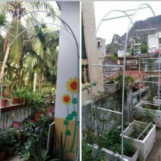 Khung vòm cao 2m4 ngang 1m4 trồng hoa hồng, dễ lắp ráp! Giao hàng tphcm
