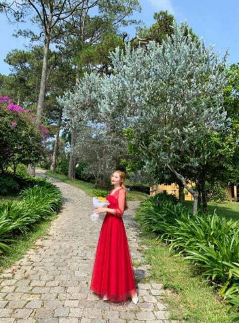 Đầm công chúa hồng, tay dài đính hạt