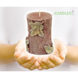 Nến khúc cây mùa thu không mùi