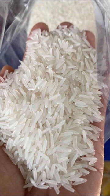 Gạo đặc sản Sóc trăng ST24 túi 10kg