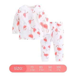 Bộ cotton giấy qc