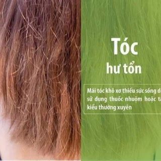 Dầu gội thảo dược