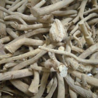 Rễ Đinh Lăng Nếp Khô 1kg