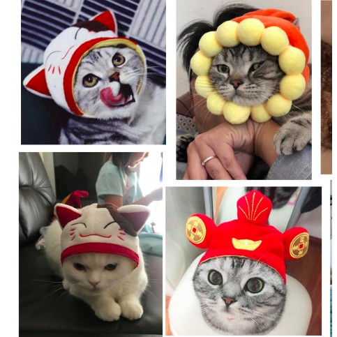 MŨ NÓN THÚ CƯNG DỄ THƯƠNG - CHỌN MẪU