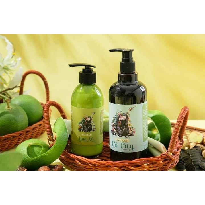(Ưu Đãi) Dầu Gội Thảo Dược Cỏ Cây, Nấu Thủ Công, Ngăn Rụng Tóc, Kích Thích Mọc Tóc, An Toàn Cho Mẹ Bầu