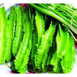 5 hạt giống đậu rồng/ đậu khế