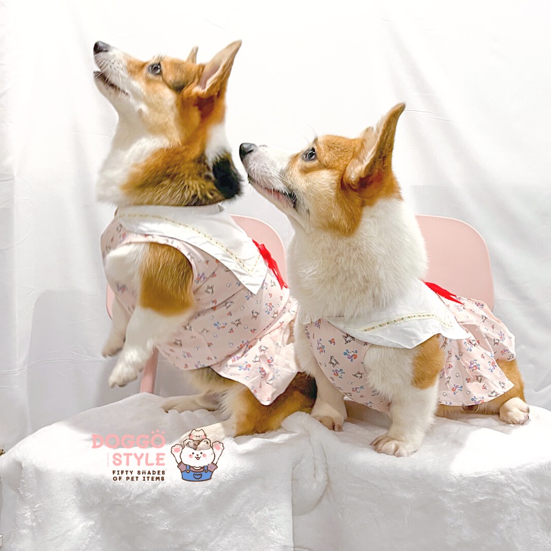 Áo Váy Thun Ba Lỗ DoggoStyle Vải Cotton Co Giãn Mùa Hè Cho Chó Lớn Size Bự Corgi Bull Pháp Pug Mặt Xệ Lạp Xưởng