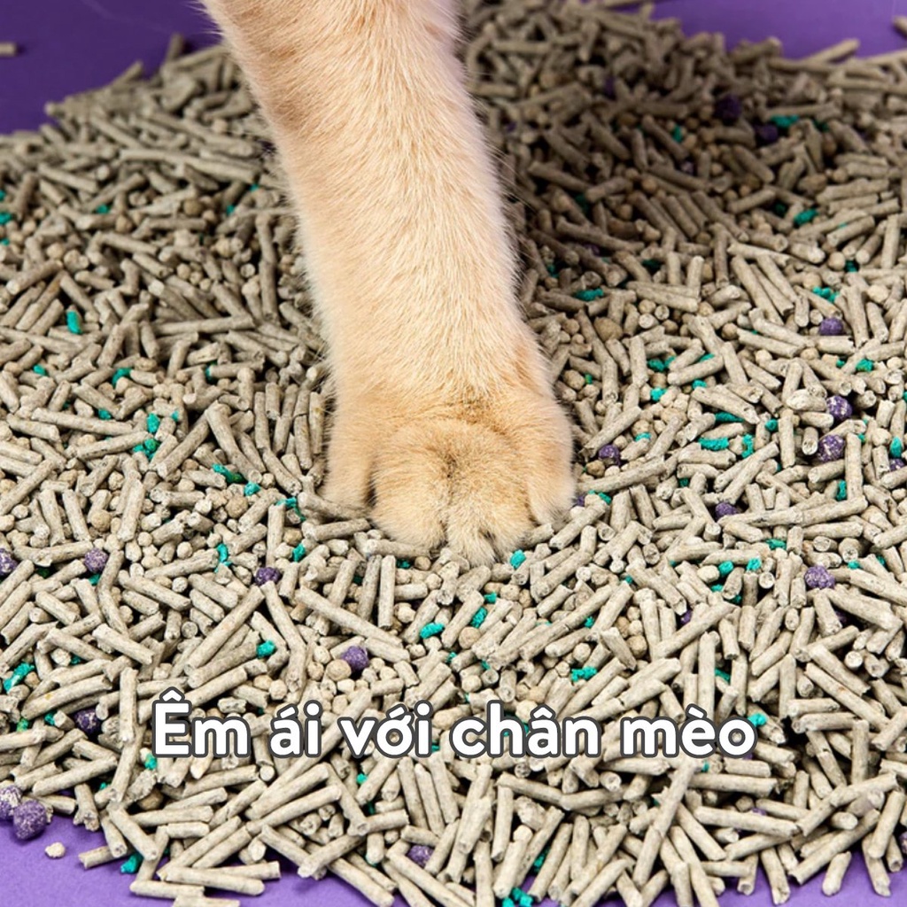 Cát vệ sinh mèo đậu nành Petkit