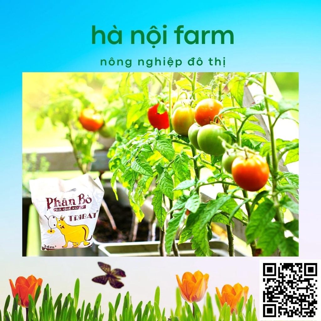 Phân bò khô, phân bò tự nhiên đã qua xử lý dùng cho mọi loại cây trồng gói 800g