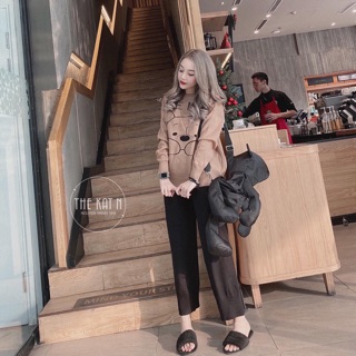 Set len gấu