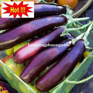 Hạt giống Cà Tím Dài F1 1gram