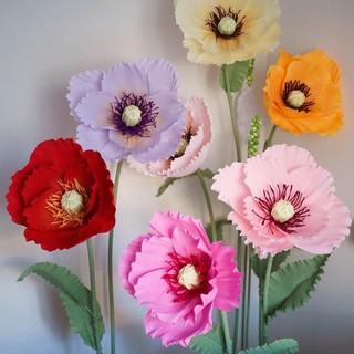 Hoa Poppy Giấy Nhún Khổng Lồ, Trang Trí Cửa Hàng, Sự Kiện