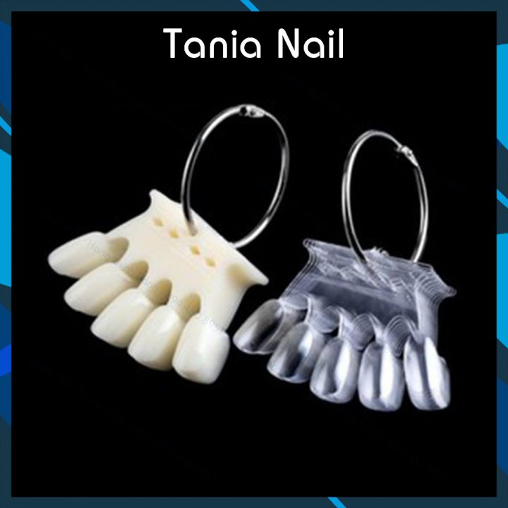 Móng Que Vương Miện Tập Vẽ Móng Vương Miện Trong Đục Đen