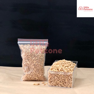 Hạt giống cỏ mèo 100g