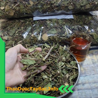 Dây Thìa Canh Lá To [1Kg]