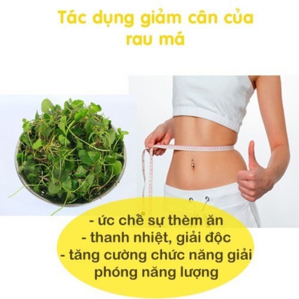 Bột rau má sấy lạnh 100% nguyên chất giúp thanh lọc cơ thể, làm dẹp da 500gr