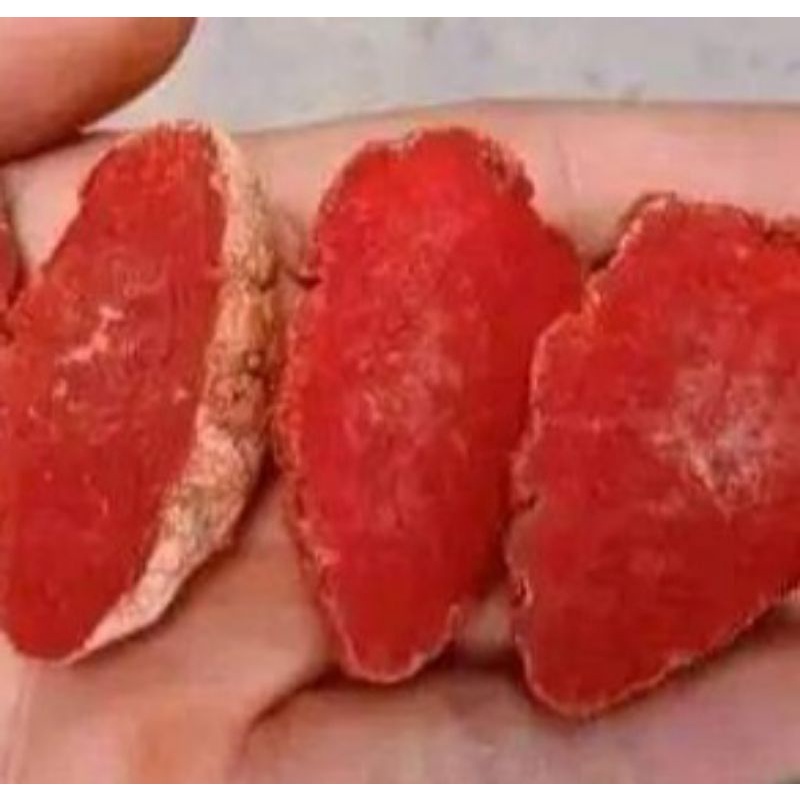 Nghệ đỏ nguyên củ dành cho gà đá. nghệ đỏ, nghệ gà, nghệ, nghệ vô gà, nghệ củ