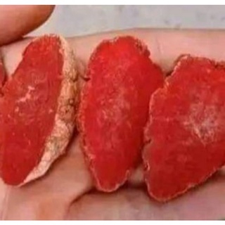 Nghệ đỏ nguyên củ dành cho gà đá. nghệ đỏ, nghệ gà, nghệ, nghệ vô gà, nghệ củ
