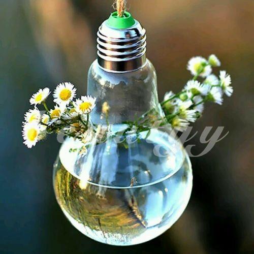 Bình thủy tinh trồng cây bóng đèn trang trí sân vườn