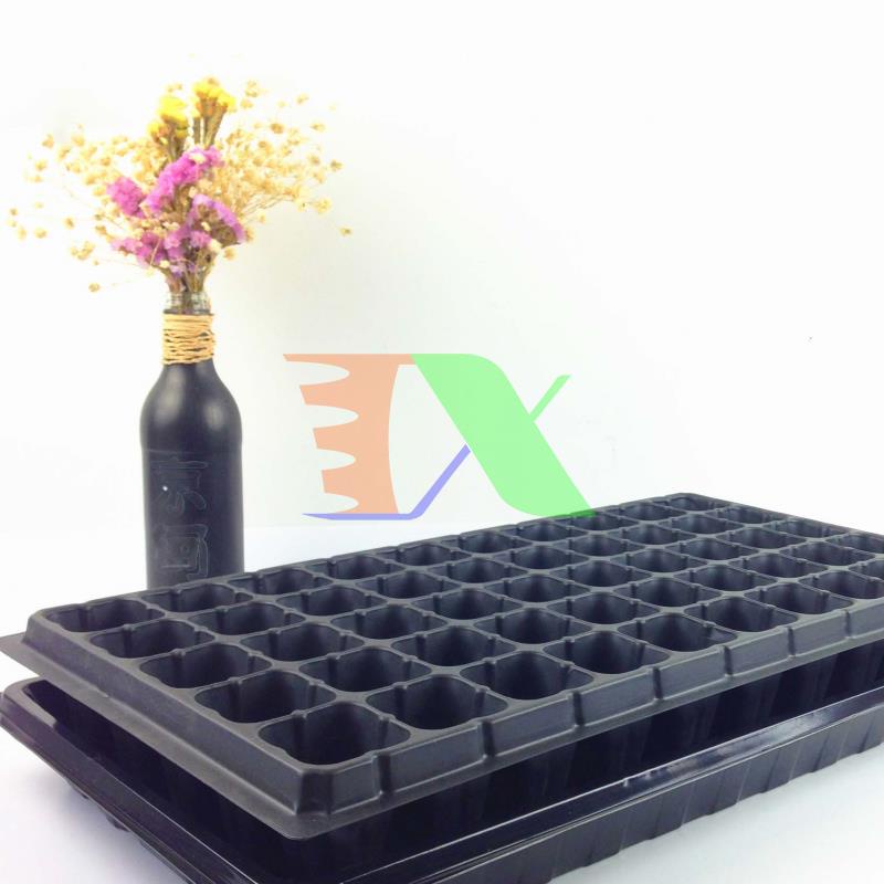 Hộp 150 khay ươm cây (Dày 1mm, nặng 120g), khay ươm hạt, vỉ ươm rau (50 lỗ)