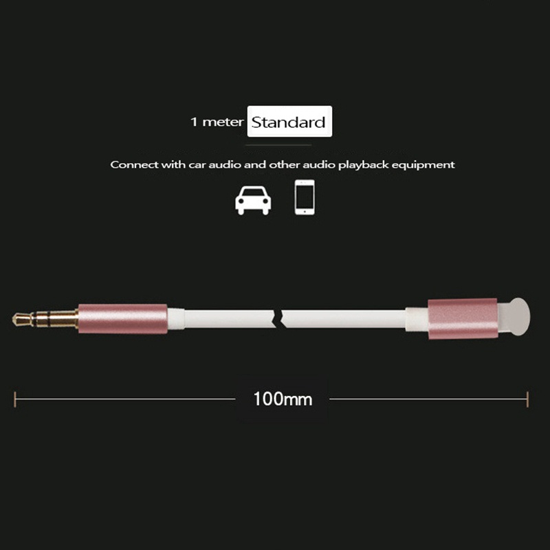 Dây Cáp Âm Thanh Aux 3.5mm Cho IPhone 5 Và Ipad Trên Xe Hơi