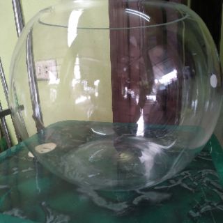 Bể cá hình cầu cỡ đại 29 cm