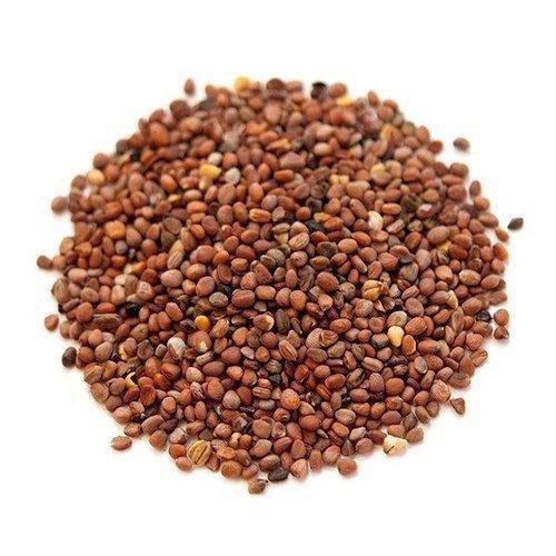 [Seeds] Hạt giống Củ Cải Trắng, đóng gói 20gr (khoảng 800 hạt), dễ trồng, năng suất cao