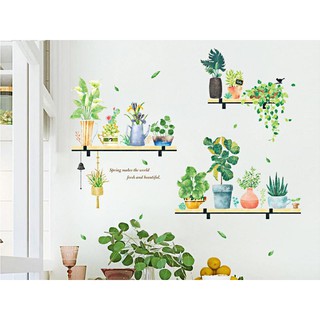 decal dán tường chậu cây trang trí