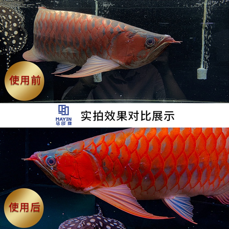Đèn Led Mayin 27000K Super Colour Huyết Long - Đỏ Cá Không Đỏ Nước Chuyên Dụng Cho Cá Rồng