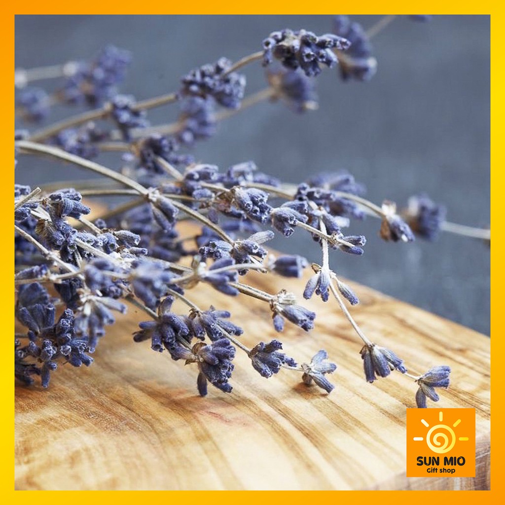 Hoa khô Lavender Pháp 250 cành (Hoa oải hương Pháp)