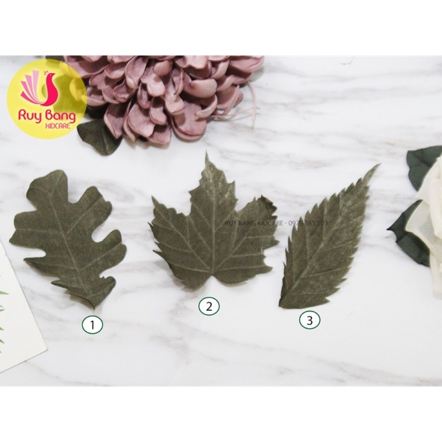 Lá gấm ( set 2 chiếc )