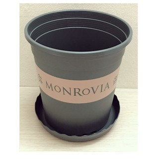 1 Bộ Chậu Nhựa Trồng Hoa Cây Cảnh (Chậu + Đĩa) MONROVIA CN 1Gal