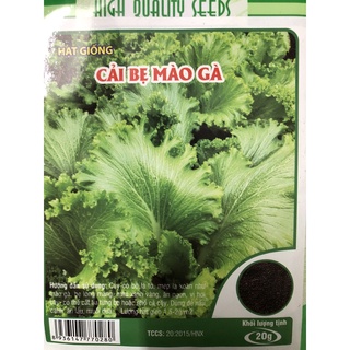 Hạt giống cải bẹ mào gà (20 gr) ☘️