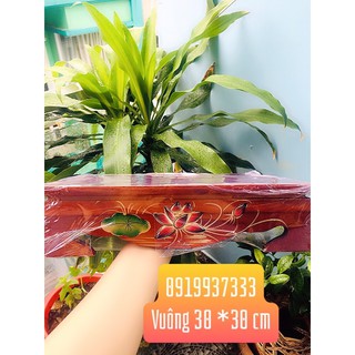 Đôn gỗ vuông kê tượng