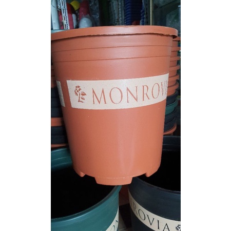 chậu MONROVIA 5GL trồng hoa hồng siêu đẹp đường kính 27cm