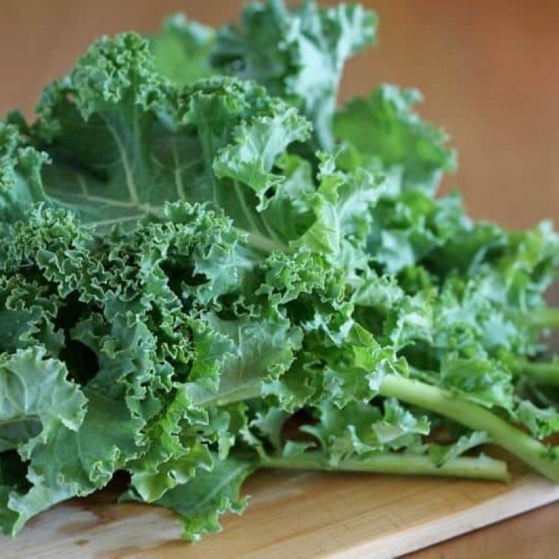 CẢI XOĂN(KALE) - Rạng Đông