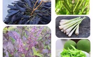 túi lọc bồ kết tóc 1 bịch 15 gói