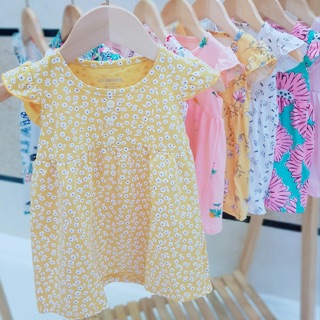 Sỉ váy cánh tiên gymboree
