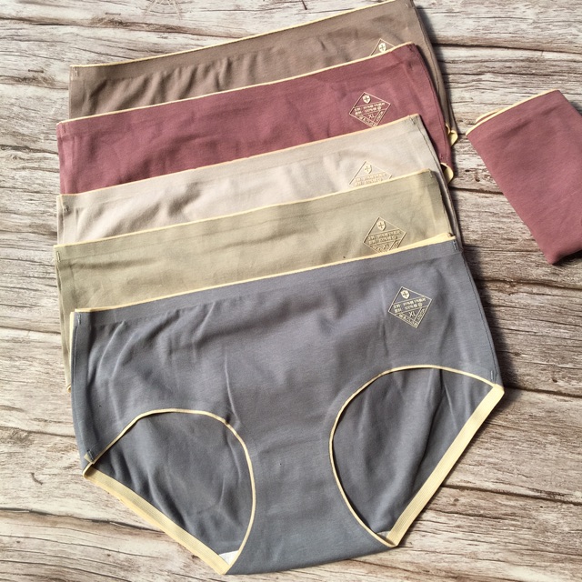 QUẦN LÓT COTTON CÓ SIZE MÀU TRƠN