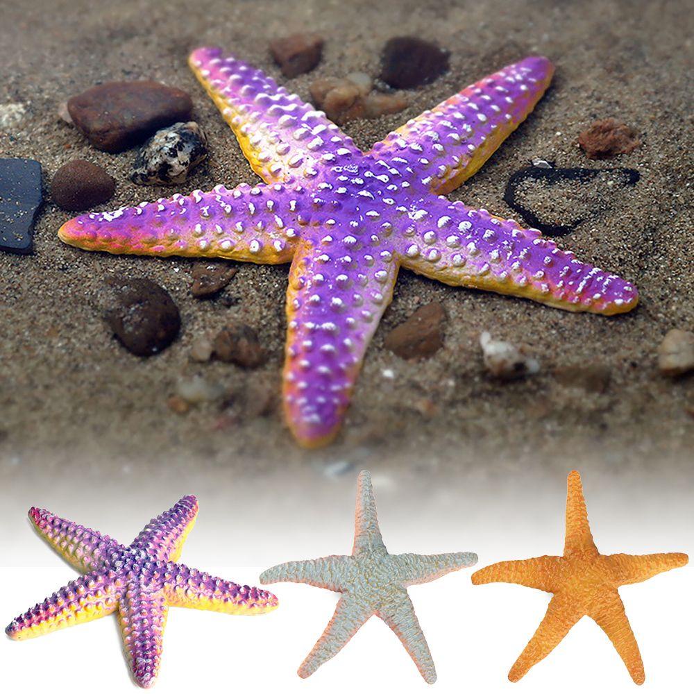 Mô Hình Sao Biển Đồ Chơi Giáo Dục Sớm Dành Cho Trẻ