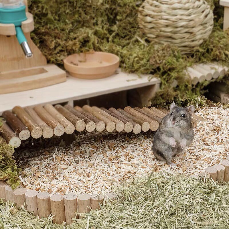 (ODER) NITEAGEL Lót chuồng cao cấp Bedding hamster