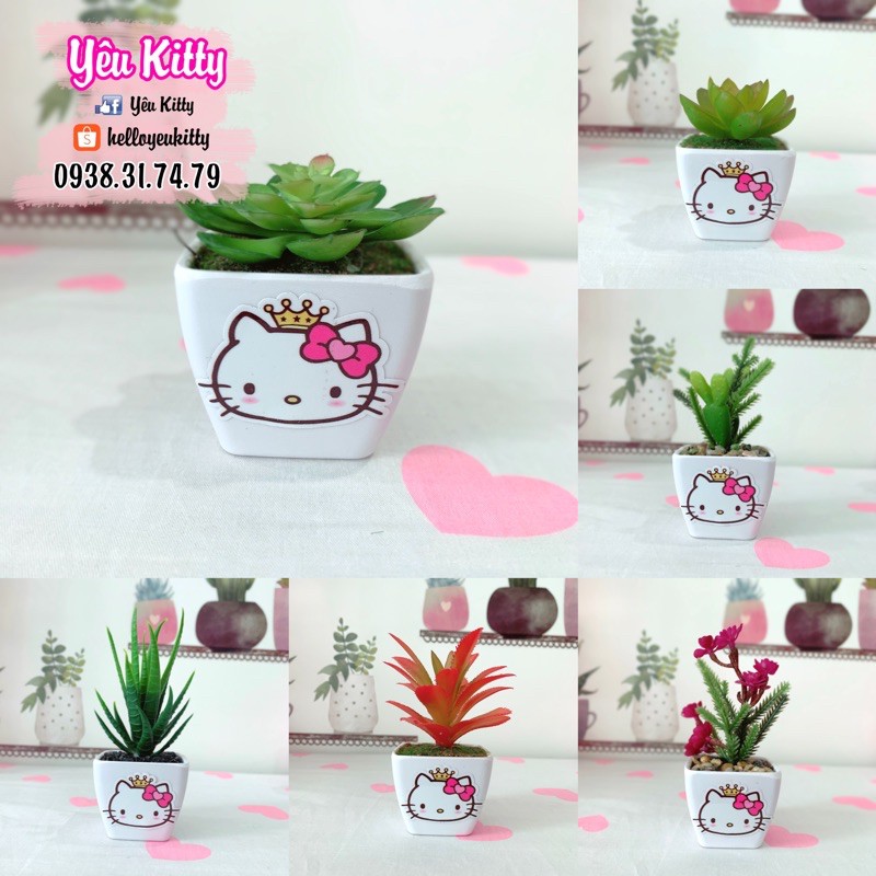 Cây giả mini để bàn Hello Kitty