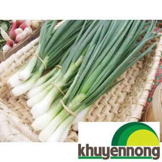 Gói 5 gr hạt giống hành ta